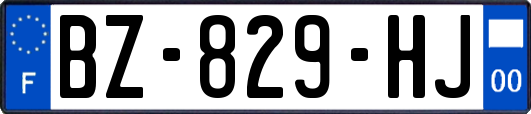 BZ-829-HJ