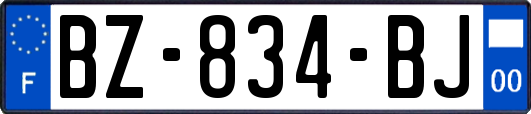 BZ-834-BJ