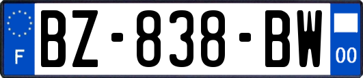 BZ-838-BW