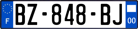 BZ-848-BJ