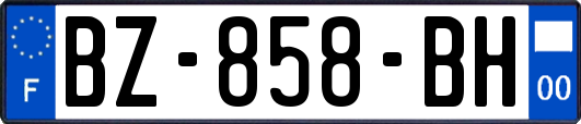 BZ-858-BH