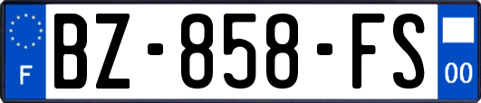 BZ-858-FS