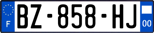 BZ-858-HJ