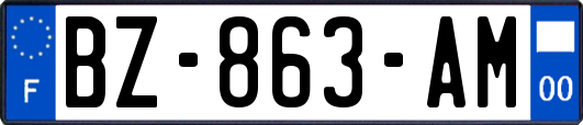 BZ-863-AM