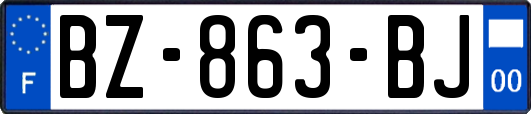 BZ-863-BJ