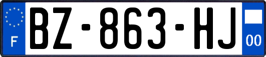 BZ-863-HJ