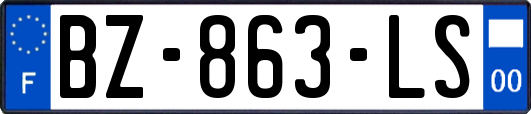 BZ-863-LS