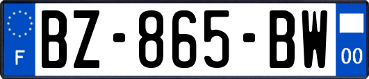 BZ-865-BW