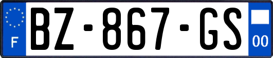 BZ-867-GS