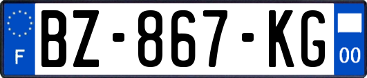 BZ-867-KG