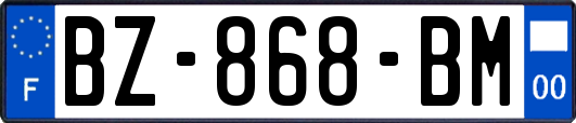 BZ-868-BM