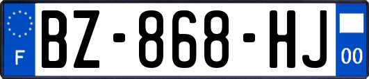 BZ-868-HJ