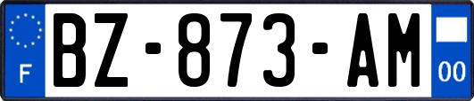 BZ-873-AM