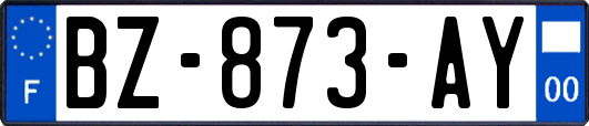 BZ-873-AY