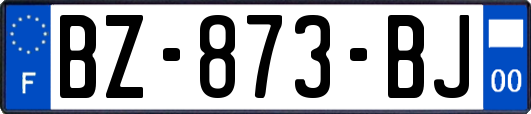 BZ-873-BJ