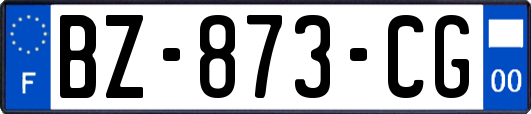 BZ-873-CG