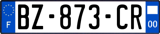 BZ-873-CR