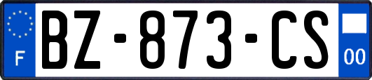 BZ-873-CS