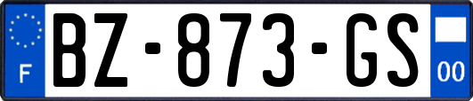 BZ-873-GS