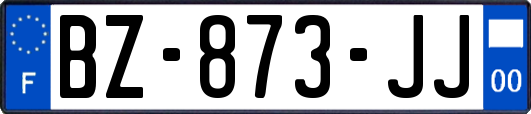 BZ-873-JJ