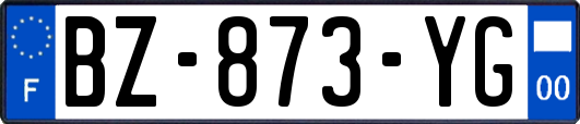 BZ-873-YG