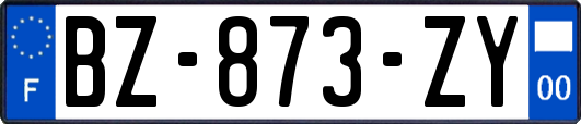 BZ-873-ZY