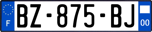 BZ-875-BJ