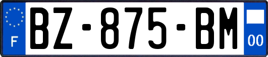 BZ-875-BM