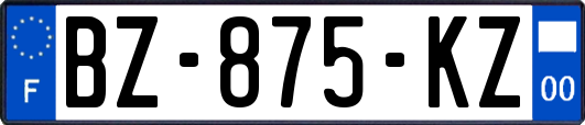 BZ-875-KZ