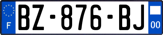 BZ-876-BJ