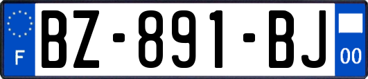 BZ-891-BJ