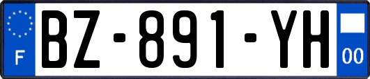 BZ-891-YH