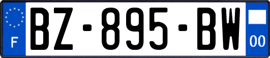 BZ-895-BW