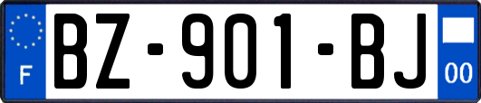 BZ-901-BJ