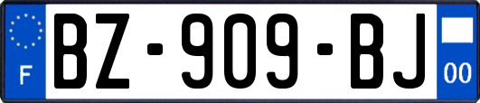 BZ-909-BJ