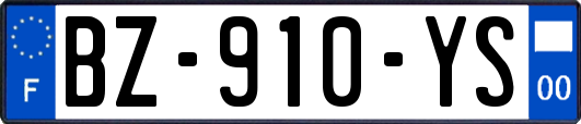 BZ-910-YS