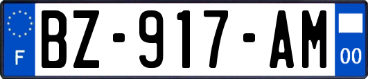 BZ-917-AM