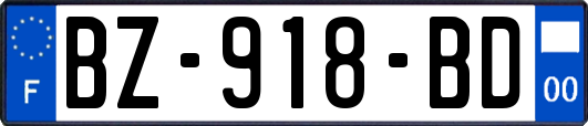 BZ-918-BD