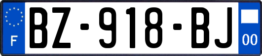 BZ-918-BJ