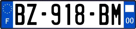 BZ-918-BM