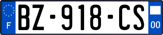 BZ-918-CS