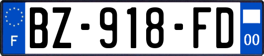 BZ-918-FD