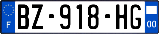 BZ-918-HG