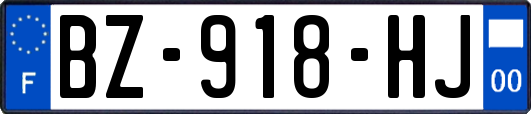 BZ-918-HJ