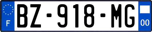 BZ-918-MG