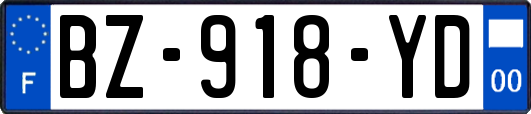 BZ-918-YD