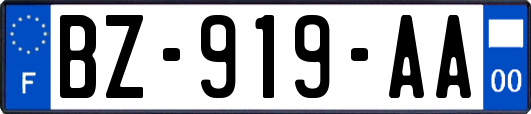 BZ-919-AA