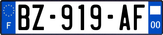 BZ-919-AF