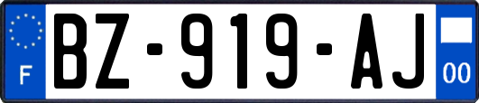 BZ-919-AJ
