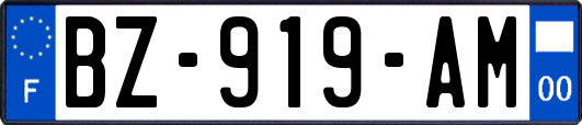 BZ-919-AM